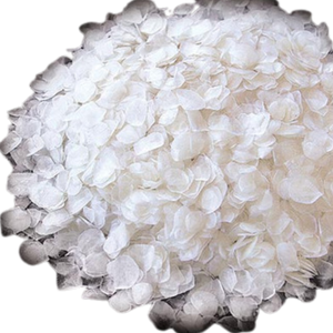 เกล็ดปลาแห้งดิบสำหรับสกัดคอลลาเจนและเจลาติน - Product Image 1