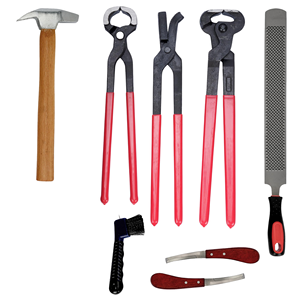 Le kit professionnel de soins du sabot de cheval de haute qualité comprend des pinces à sabot tondeuses marteau couteau fichier brosse Instrument vétérinaire pour - Product Image 4