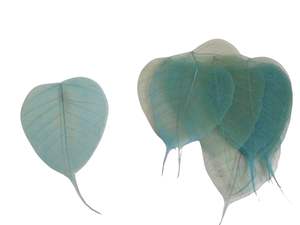 Feuilles de Squelette Décoratives d'Halloween Naturel Biodégradable Écologique Artisanat DIY Art Projets et Fleurs Décoratives - Product Image 3