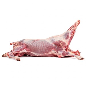 Venta de carcasas de cordero congeladas a granel, carne de primera calidad lista para exportar con envío rápido y excelente soporte - Product Image 3