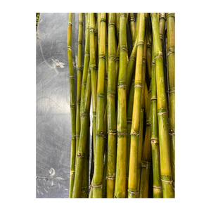 แท่งอ้อยแช่แข็งรสหวานเพื่อความสดใหม่ได้อย่างรวดเร็วรสชาติและกลิ่นหอมที่ดีสำหรับการคั้นน้ำและการใช้เครื่องดื่ม - Product Image 5