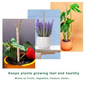 Bâtonnets de jardin en cuivre multi-usages pour la croissance des plantes, la décoration et l'art du jardin disponibles au prix de gros - Product Image 6