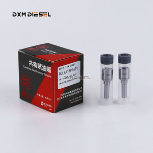 OEM yakıt pompa memesi Dlla118p1691 (0 433 172 <span class=keywords><strong>118</strong></span>) ve püskürtme nozulları Dlla 1691 P 0433172037 () - Product Image 5