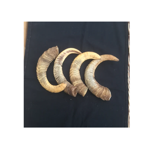 Osher-hofar-Orn de cabra, accesorio decorativo de tamaño personalizado, gran oferta - Product Image 5