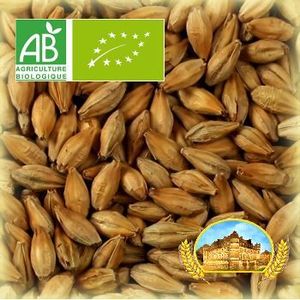 Malt Château Biscuit 50 EBC Nature BIO - Product Image 1