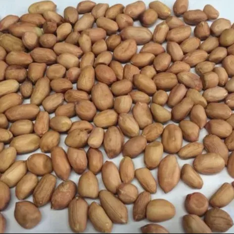 Peanuts White Indian origin Gujarat