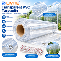 Bâche transparente avec œillets 6x6,5 pieds, robuste, imperméable, résistante aux déchirures, bords renforcés, épaisseur 14 mil, pour usage extérieur et tentes
