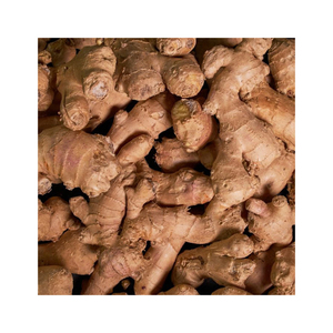 Jengibre fresco de alta calidad a granel Producto de alta calidad - Product Image 1
