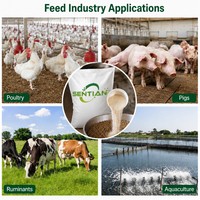 Poudre d'enzyme bêta-mannanase, extrait végétal pour l'alimentation des volailles, des porcs, des ruminants et de l'aquaculture