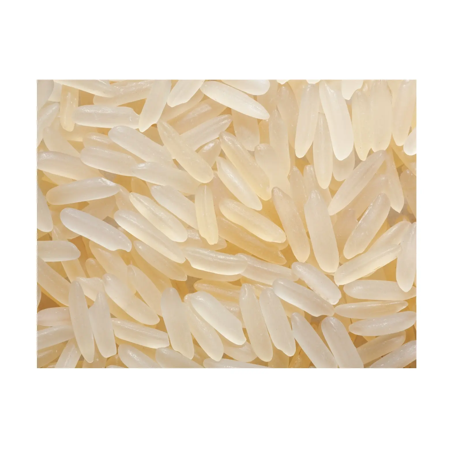 Parboiled Rice / Thai Parboiled Rice In Bulk For Sale