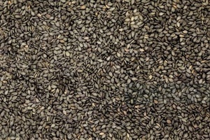 Haute teneur en huile meilleure qualité graines de sésame noir naturel pur produit agricole qualité d'exportation en vrac en gros de l'Inde - Product Image 3