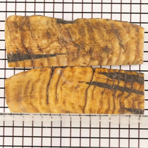 แผ่นมีดเกล็ดงานแฮนด์เมดสไตล์สัตว์ทำด้วยมือคุณภาพสูงแผ่นเกล็ดแกะฮอร์นขัดธรรมชาติเป็นมิตรกับสิ่งแวดล้อมขนาดออกแบบได้ตามต้องการ - Product Image 1