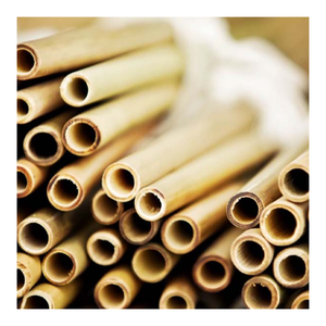 Pailles en bambou naturelles écologiques Paille à boire biodégradable réutilisable avec brosse pour pique-nique en plein air, camping, fourniture d'hôtel - Product Image 6