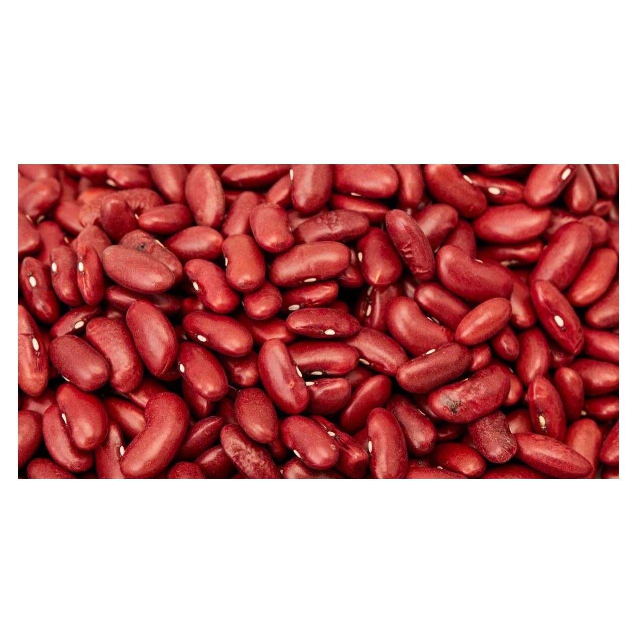 Frijoles rojos Orgánicos secos Pequeños frijoles rojos oscuros Comprador (Rajma)