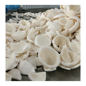 Viande de noix de coco congelée en vrac Vietnam noix de coco congelée IQF tranchée pelée pour les fabricants d'aliments et la restauration - Product Image 4