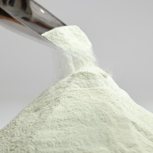 Leche Descremada en Polvo - Product Image 1