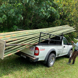 Moso Piquets de jardin en bambou avec finition naturelle et branches en option pour l'aménagement paysager extérieur Matières premières de bambou écologiques - Product Image 5