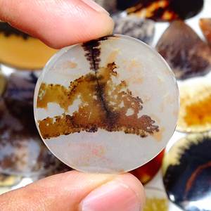 Shazar ágata dendrítica cabujón natural piedra preciosa suelta suave piedra preciosa pulida oferta a granel - Product Image 4