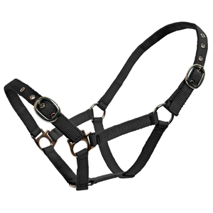 Premium réglable en Nylon cheval licou Durable solide confortable collier formation licou équitation Tack en gros approvisionnement en vrac - Product Image 1