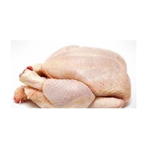 Pieds de poulet entier congelés/halal/pattes de poulet congelées Brésil - Product Image 3