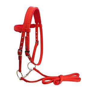 Haute qualité personnalisable cheval de course debout Martingale poitrine plaque PVC produit équestre cuir boucles en acier inoxydable - Product Image 2