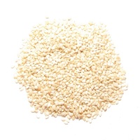 Graines de sésame blanches de qualité supérieure d'approvisionnement d'usine 100% sésame blanc naturel pour l'exportation