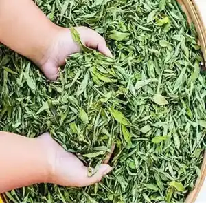 उच्च मात्रा में थोक हर्बल चाय सूखी स्टीविया पत्ती जड़ी बूटी स्टीविया | सफेद लेबलिंग उपलब्ध है