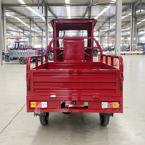 Triciclo de Carga de Tres Ruedas de Alta Velocidad con Motor de Gasolina, Carrocería Abierta, Toldo y Sistema de Reversa Motorizada - Product Image 5