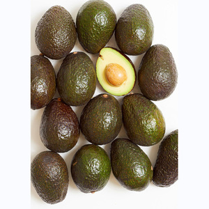 Yummy organic and thick Hass <b>avocado</b> for sale / Hass <b>avocado</b> with best delivery - Product Image 3