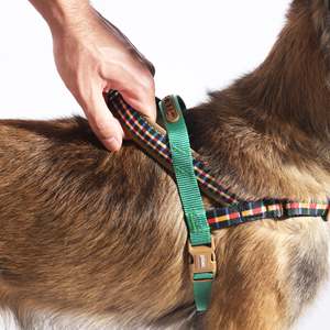 Harnais pour chien Norwegian Luxury Softer-Walk en polyester à motifs écossais et unis pour chiens de petite, moyenne et grande taille, pour la promenade. - Product Image 2