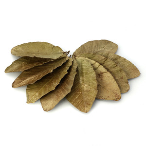 ใบฝรั่งแห้งสำหรับทำชาสมุนไพรเพื่อสุขภาพ - Product Image 3