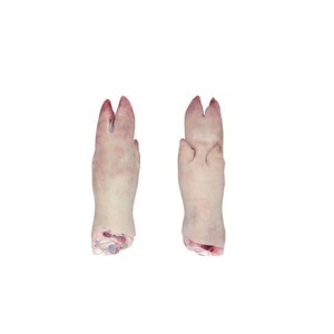 คุณภาพสูง 100% แช่แข็งหมูเท้าด้านหน้าแช่แข็งหมูเท้าด้านหน้ามอบหมายสําหรับจัดส่งที่ดีที่สุดแช่แข็งหมูเท้าด้านหน้าในราคาถูก - Product Image 6
