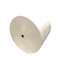 Clay White Paperboard with Grey Back Single Side PE Coating Duplex Board