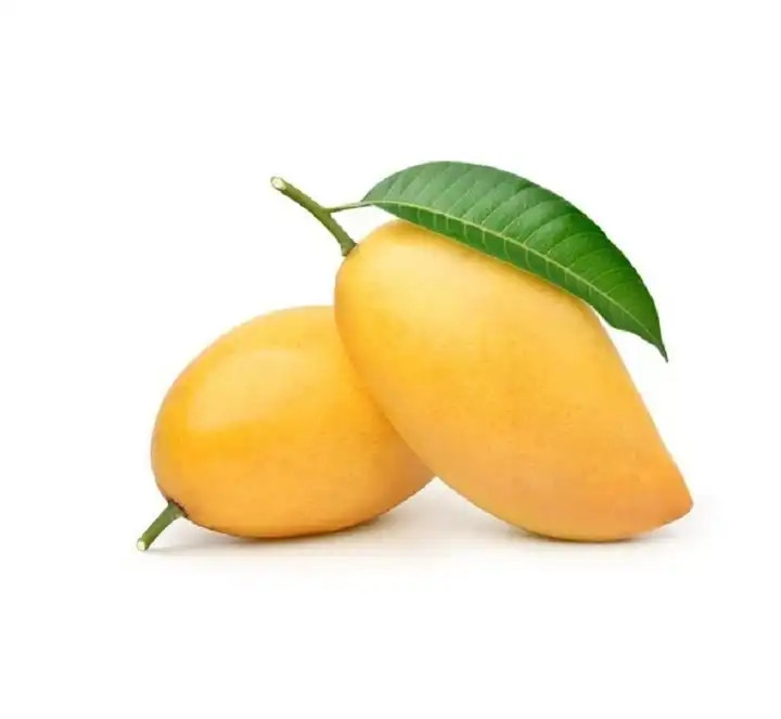 Mango Ozon
