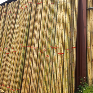 Baguettes de bambou incurvées Matières premières pour les meubles de bricolage et les installations d'art à la maison - Product Image 4