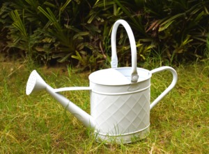 Arrosoir décoratif en métal à long bec Finition grise lisse Capacité de 1.5L Durable Écologique pour le jardinage extérieur Suspendu - Product Image 6