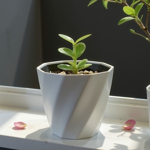 Maceta de escritorio al por mayor, diseño delicado, giro redondo, plástico, construcción duradera, forma redonda - Product Image 1