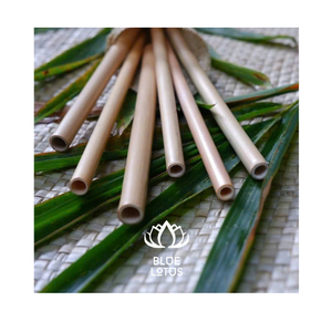 Pajitas para beber biodegradables hechas de bambú seco en Vietnam Paquete de pajitas reutilizables para uso doméstico - Product Image 1