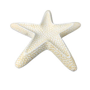 Decoración costera moderna para el hogar, acento, calidad confiable, escultura de estrella de mar de aluminio de lujo, adorno de Navidad para jardín - Product Image 2