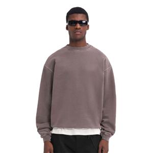 Sudadera en blanco de peso pesado Puff estampado y serigrafía logotipo personalizado 100% algodón 550 gramos pulóver sudadera para hombres - Product Image 1