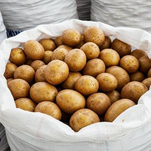 Alta calidad Francia Origen Granja Cultivado Papas frescas Suministro a granel Venta al por mayor Exportación Cocinar Alimentos Fabricación Minoristas - Product Image 4