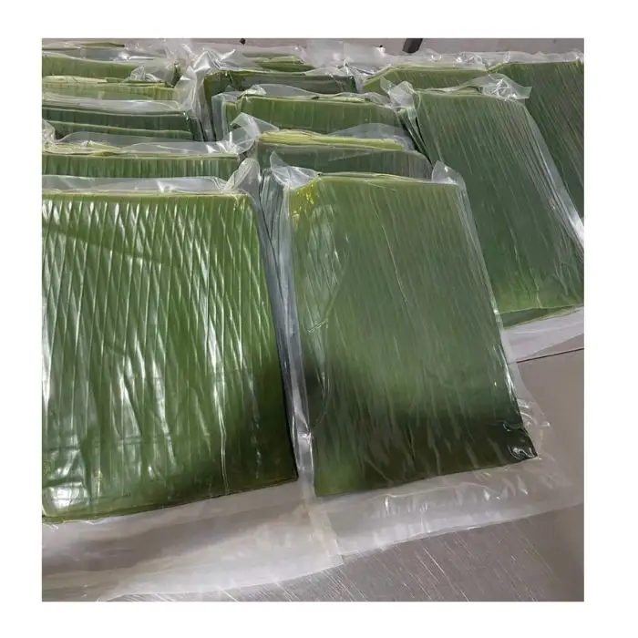 Feuilles de bananier frais congelés lavés emballés sous vide 1kg feuilles de bananier frais prix compétitif au Vietnam