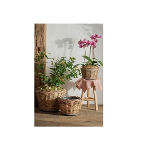 Elegante estante de exhibición de macetas de ratán y hierro para uso doméstico en interiores y exteriores, soporte de planta para plantar - Product Image 5