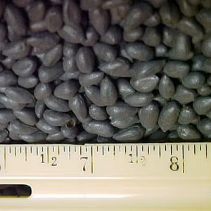 Semillas de algodón al por mayor - Product Image 1