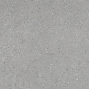 Azulejos mate de porcelana gris claro de estilo moderno 600x600mm 600x1200mm escamas para Villa supermercado comedor al aire libre salón Baño - Product Image 5