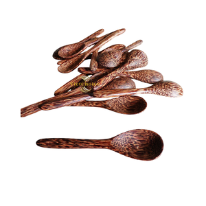 ช้อนมะพร้าวสไตล์เรียบง่าย ช้อนเปลือกมะพร้าวธรรมชาติสำหรับรับประทานอาหารและตกแต่ง - Product Image 4