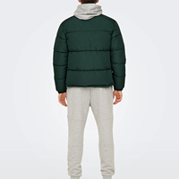 Veste matelassée à capuche pour homme, de qualité supérieure, pour l'hiver, vente en gros, avec logo OEM sur le devant, respirante et à séchage rapide
