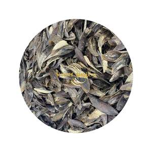 Plusieurs ventes Murex Operculum Artisanat de coquille naturelle de haute qualité de VietChoice Made In Vietnam Fabricant Livraison rapide - Product Image 2