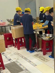 โรงงานส่งออกผลไม้ GEM จำหน่ายมะม่วงอบแห้งแบบนุ่ม ขายส่ง มะม่วงก้าวธรรมชาติ 100% คุณภาพสูง ออร์แกนิค จากเวียดนาม - Product Image 3