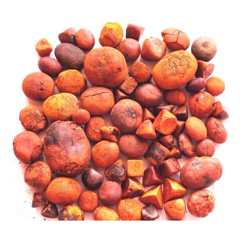 Bulk Supply of Cattle Gall Stones Cow and Ox Bile Gallstones for Animal Extract Available for Sale